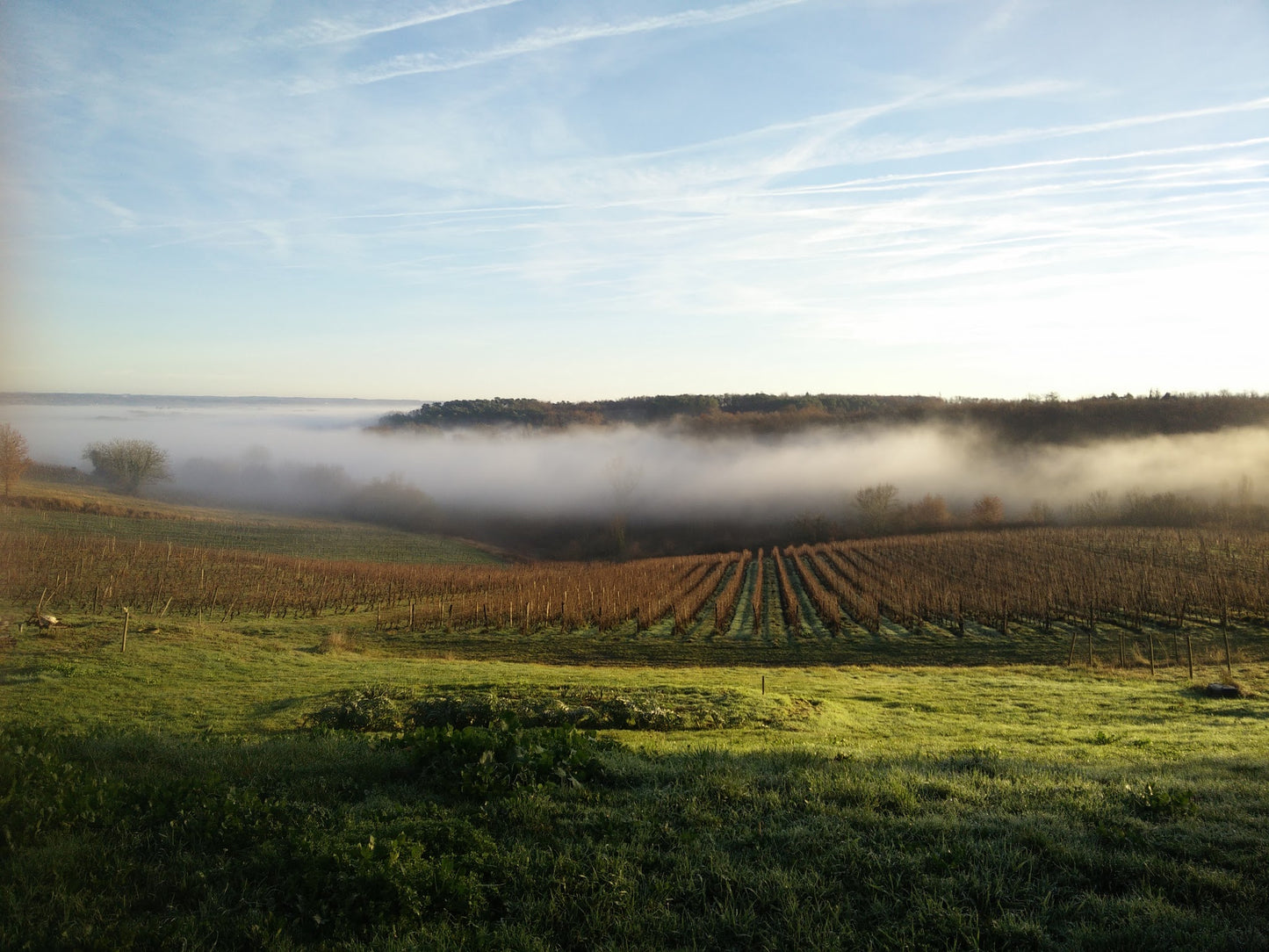 Chateau Le Tap blanc, Bergerac sec (Bio), Olivier Roches