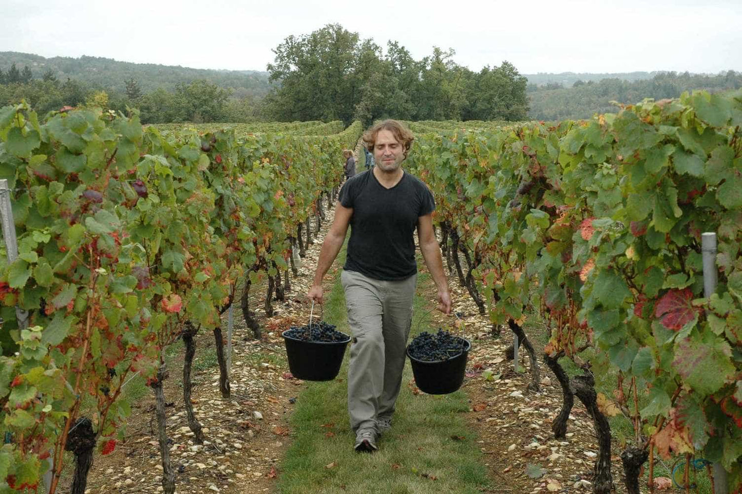 Cahors BIO, Les Roques de Cana, Sélection Bruno Quenioux pour BiBoViNo