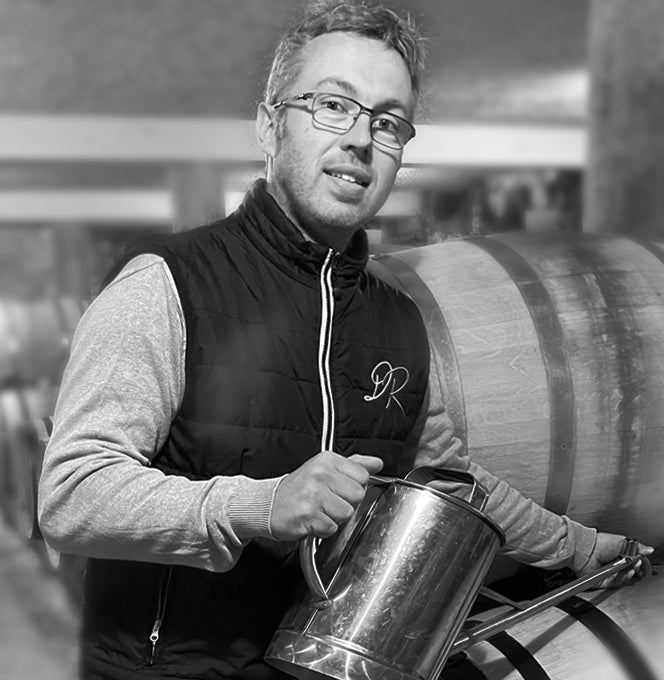 Bibovino