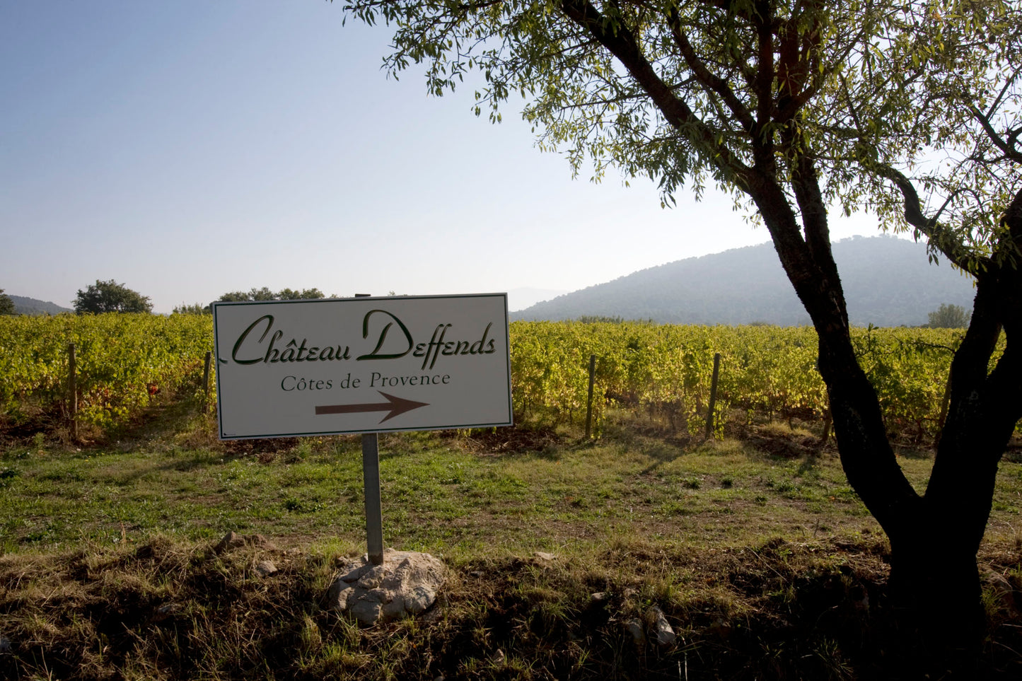 Rosé Côtes de Provence, Cuvée Première Château Deffends