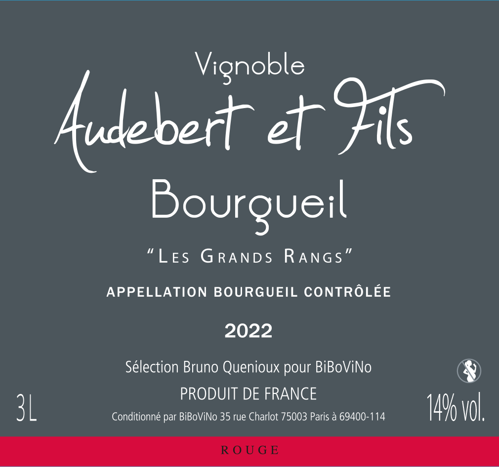 Bourgueil, Domaine Audebert