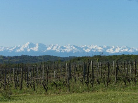 Madiran, Domaine Bel Air, Pascal Savoret